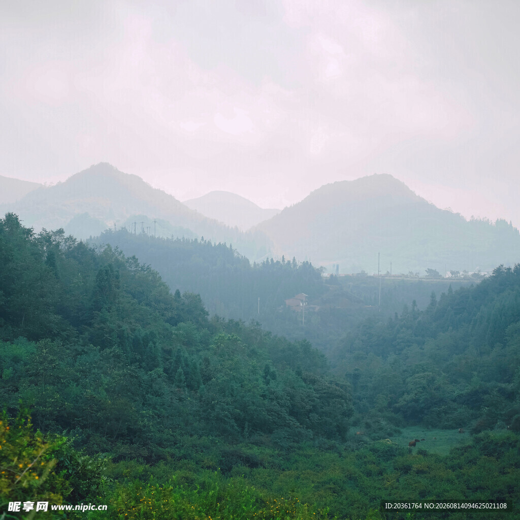 山间绿野