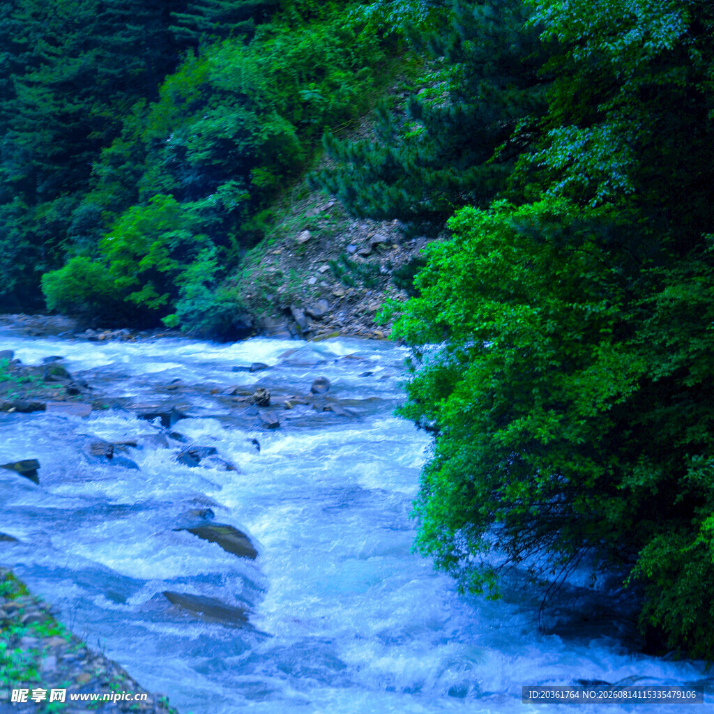 山间湍急溪流