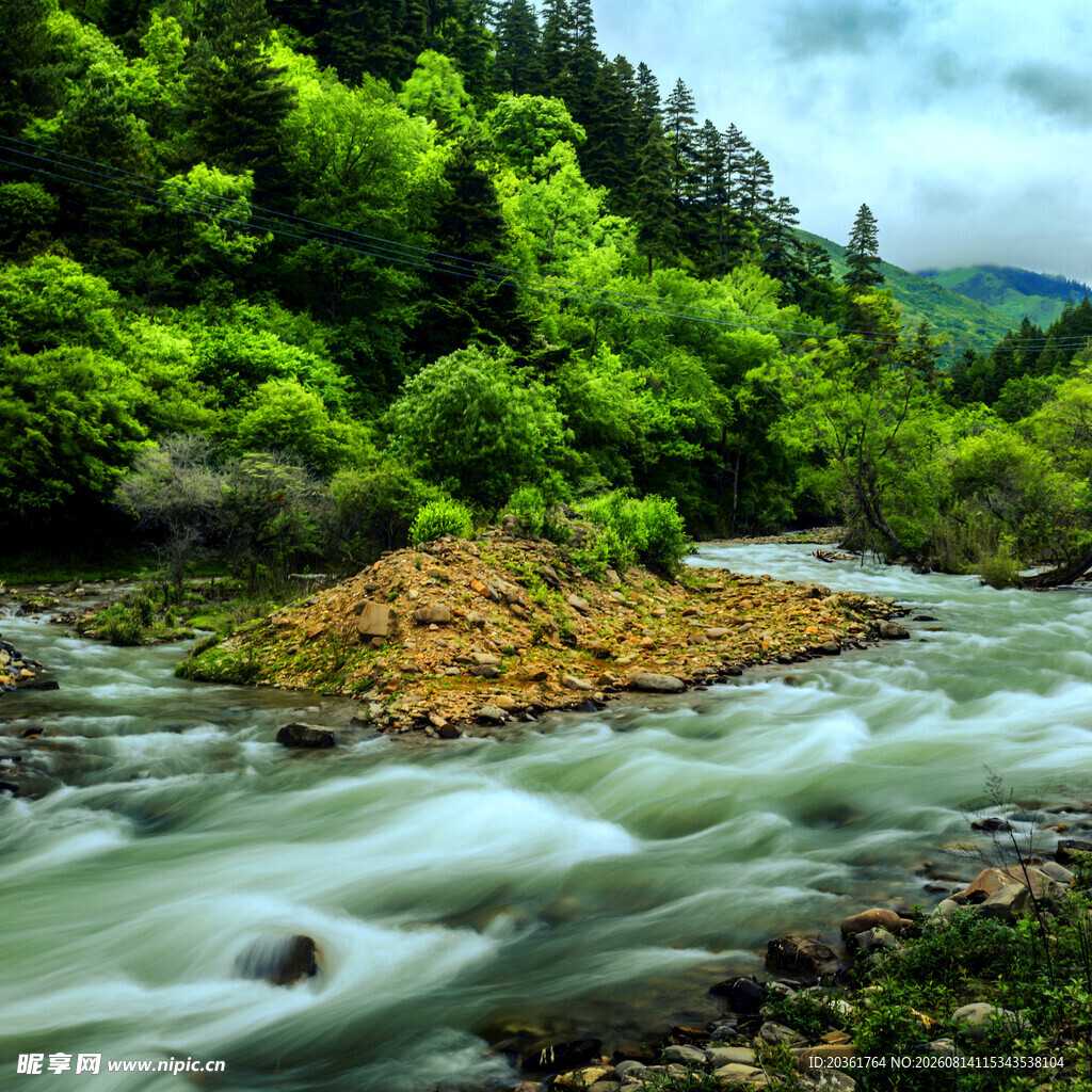 山间湍急溪流与葱郁树林