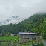 山间小屋