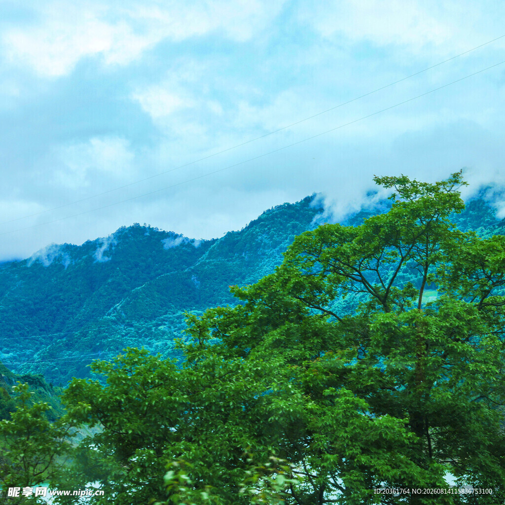 青山绿树间的秀丽风光