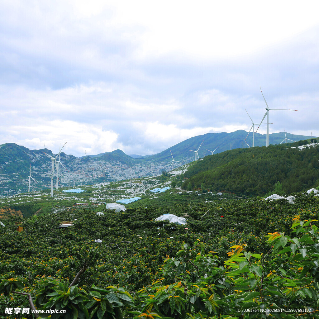 山间田园风光美景