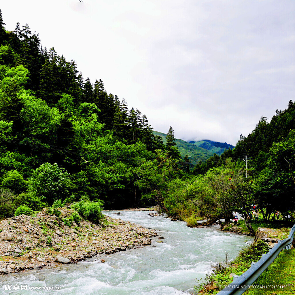 山间湍急河流与葱郁树林