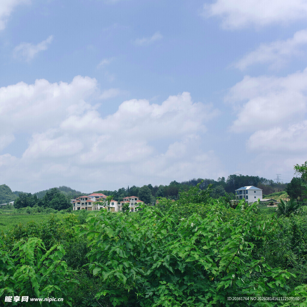 绿野之上的村落远景