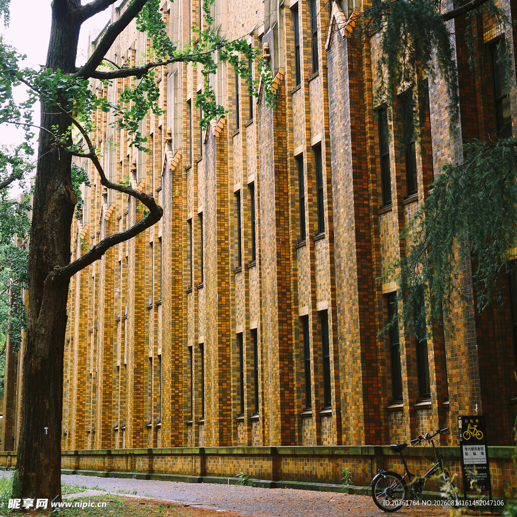 木质建筑旁的林荫小道