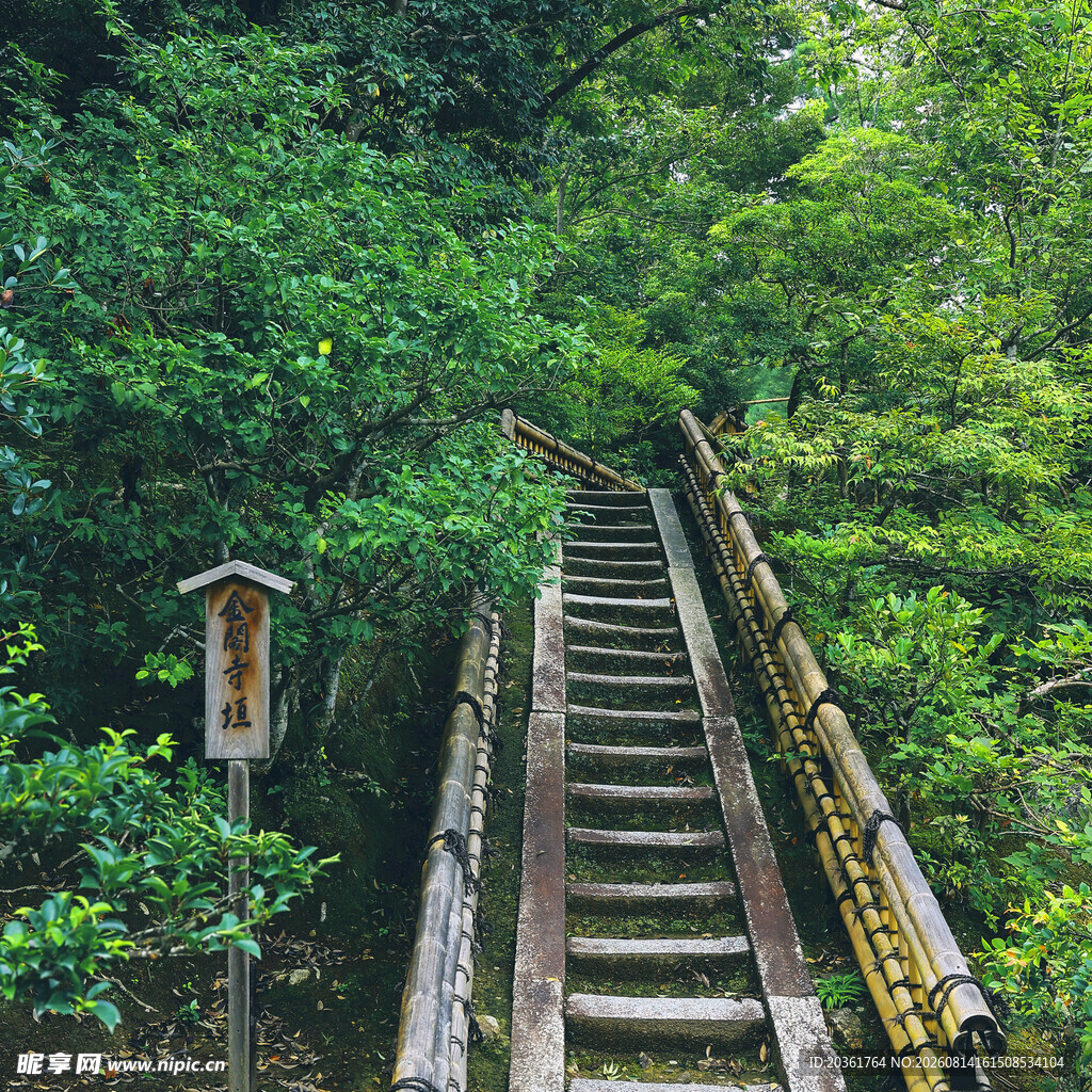 山林间的木质阶梯小道