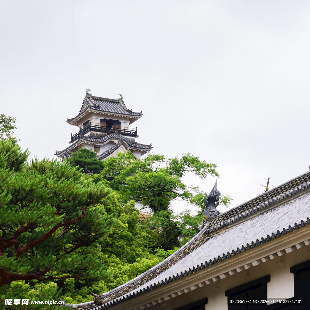 日本古建筑旁的葱郁绿树