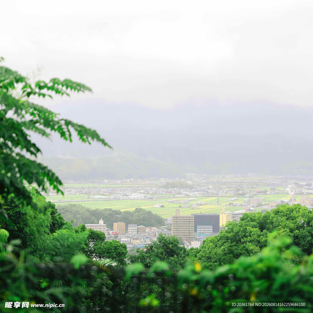 山林间远眺朦胧景色