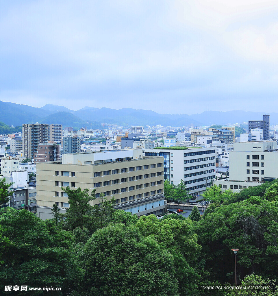 城市绿树环绕的建筑景观