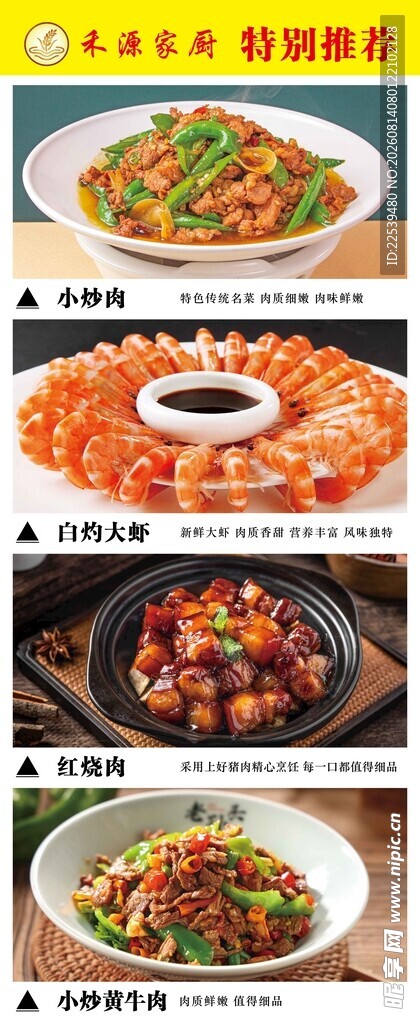 多样美味菜肴展示