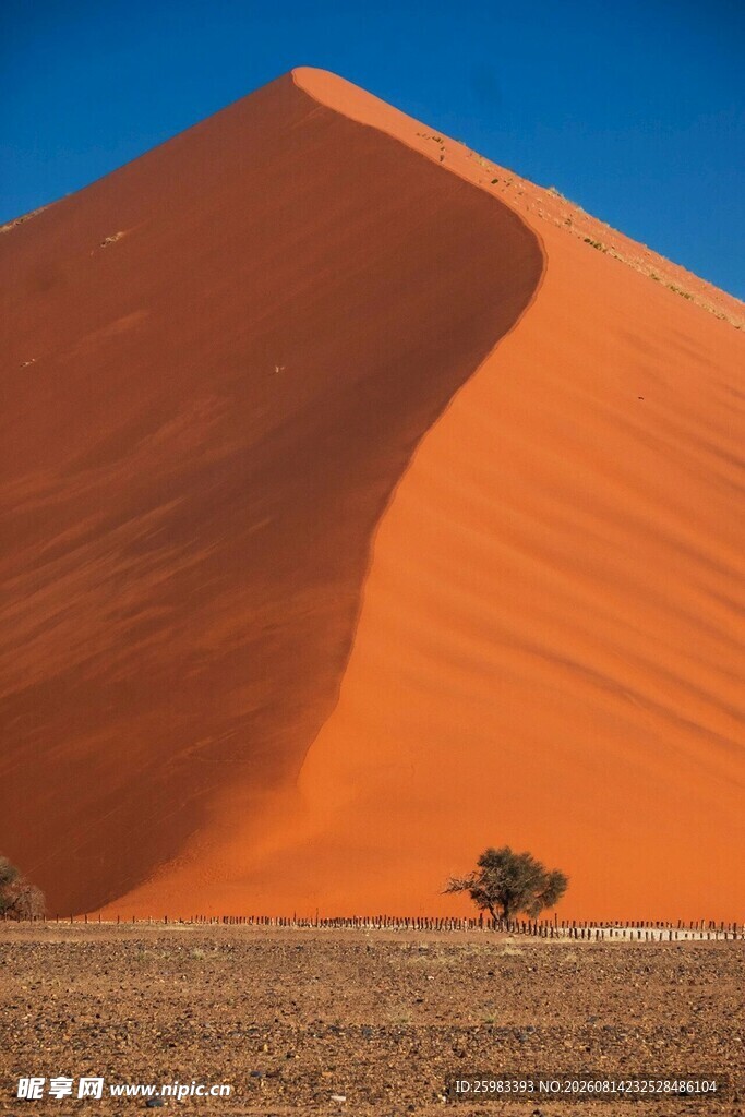沙漠