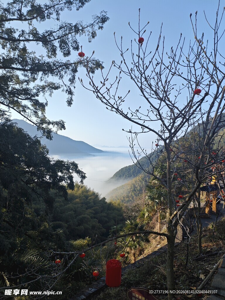 山间晨景