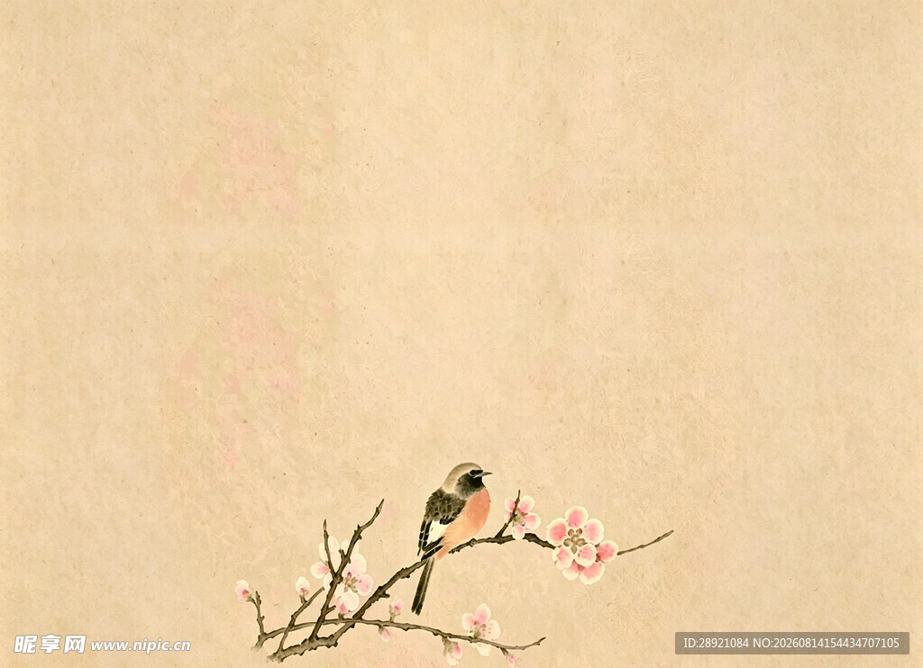 喜鹊梅花