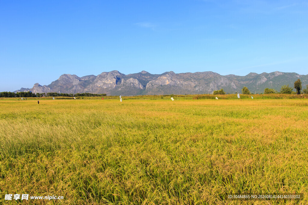 广袤田野与远处山峦美景