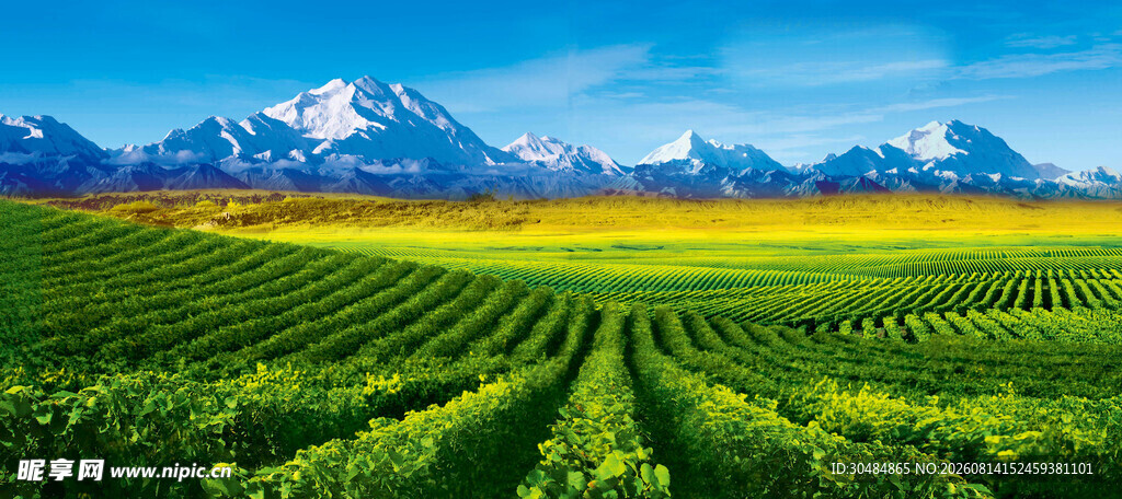 广袤田野与远处雪山美景
