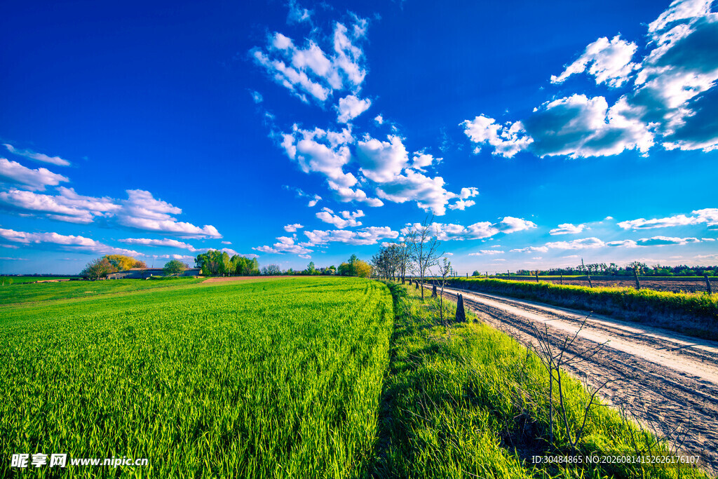 田园公路美景