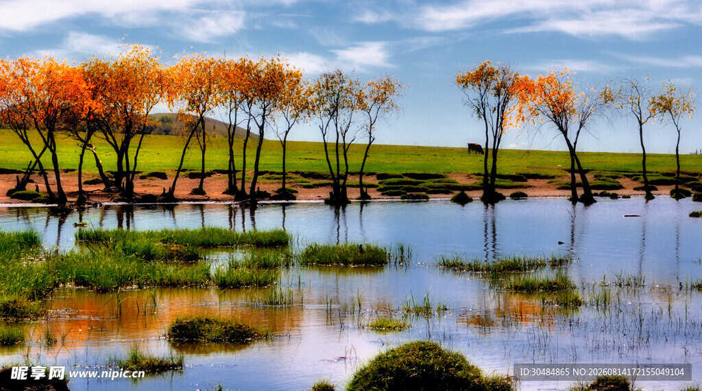 秋日水畔彩林美景