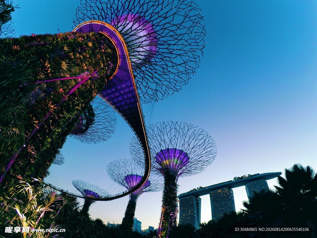 新加坡滨海湾花园夜景