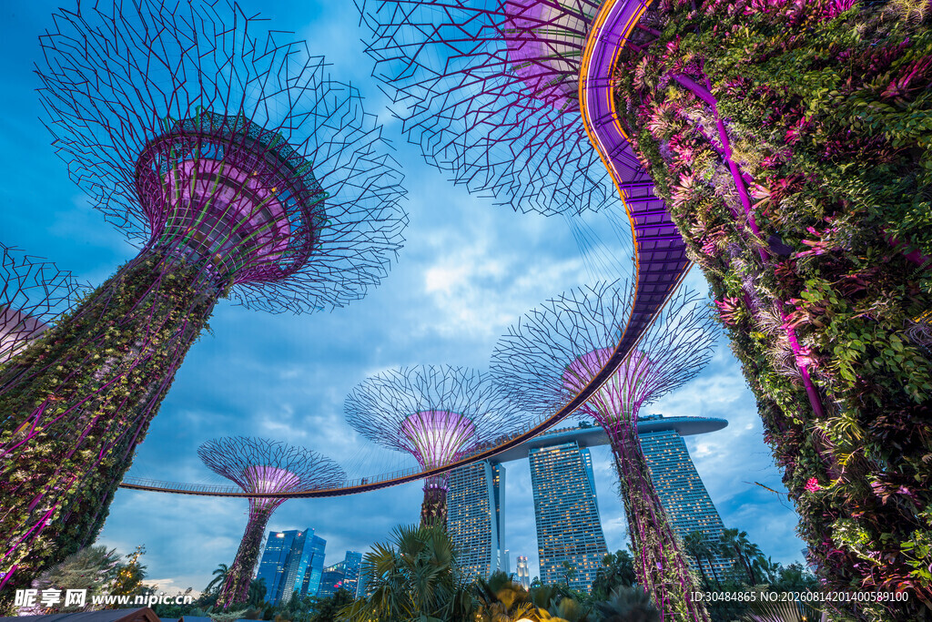 新加坡超级树景观