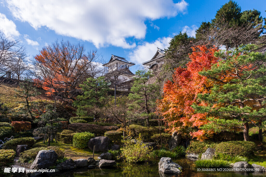 日式园林秋景