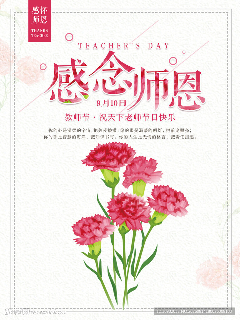感恩师恩康乃馨海报