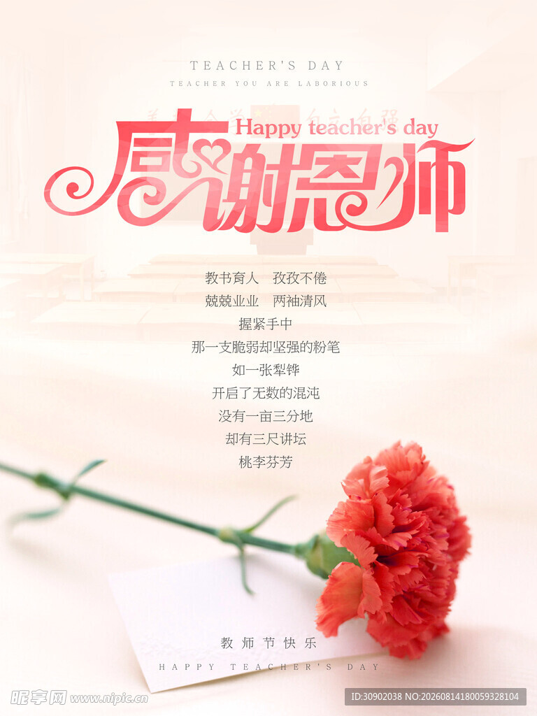 感恩教师康乃馨表心意
