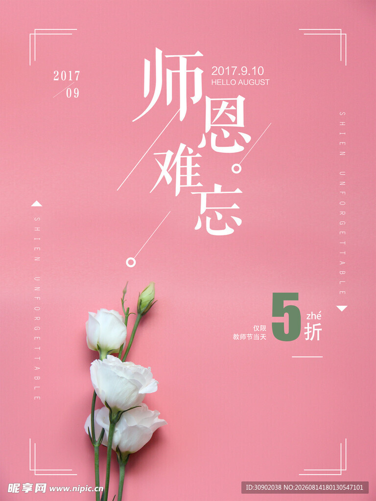 师恩难忘主题粉色花卉背景图