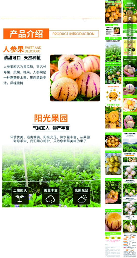 新鲜水果展示与种植场景