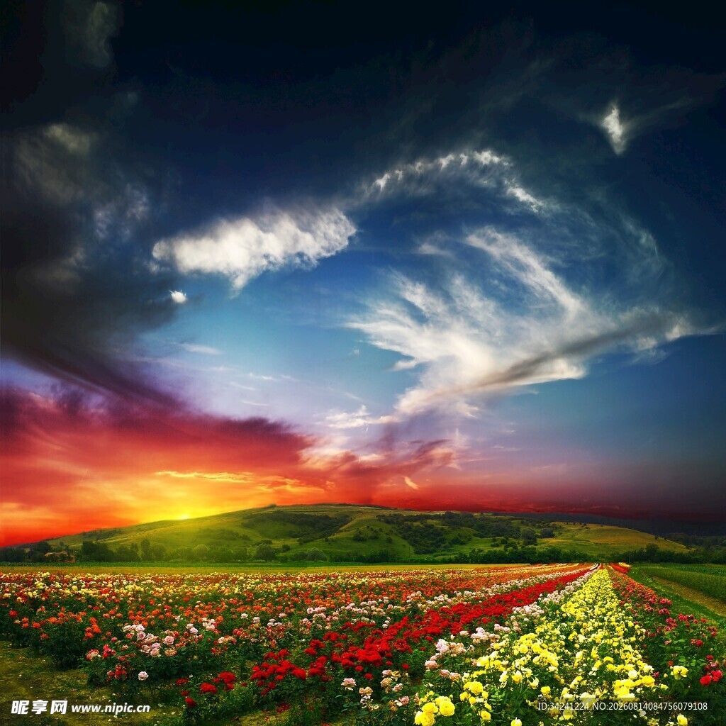 梦幻田园风光绚丽花海