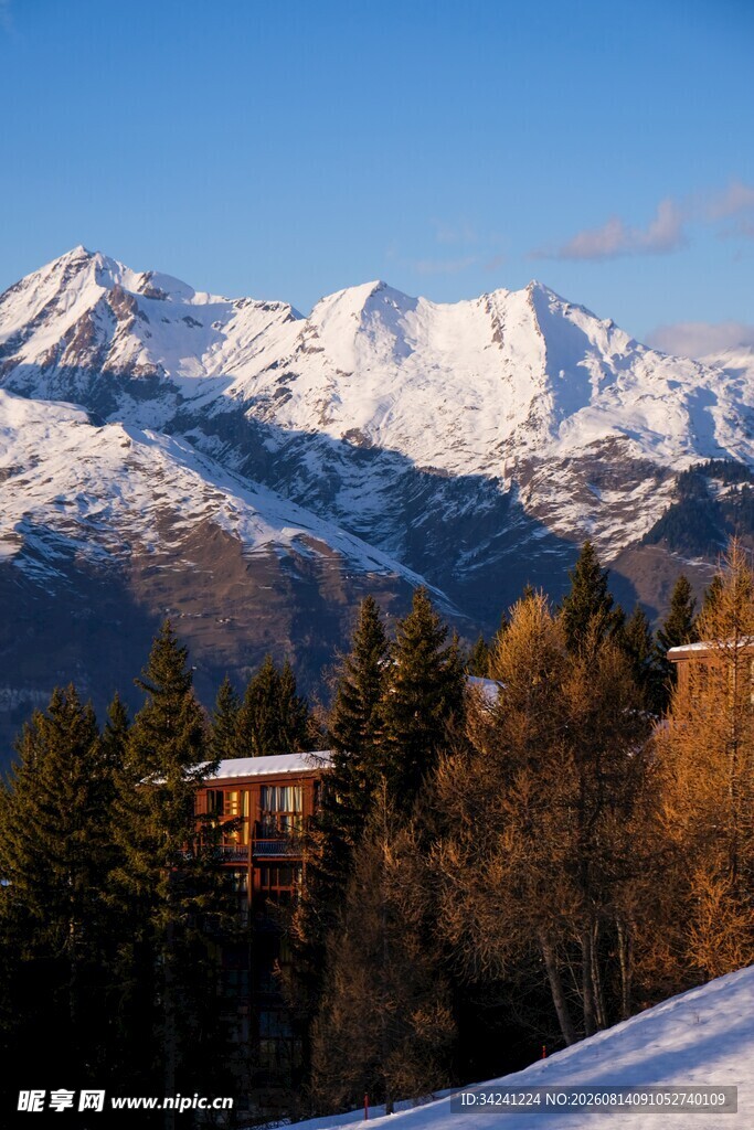 雪山下的冬日山林景致