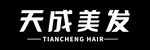 天成美发品牌标识