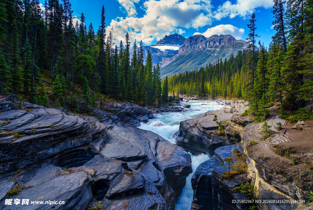 山间溪流穿林而过的美景