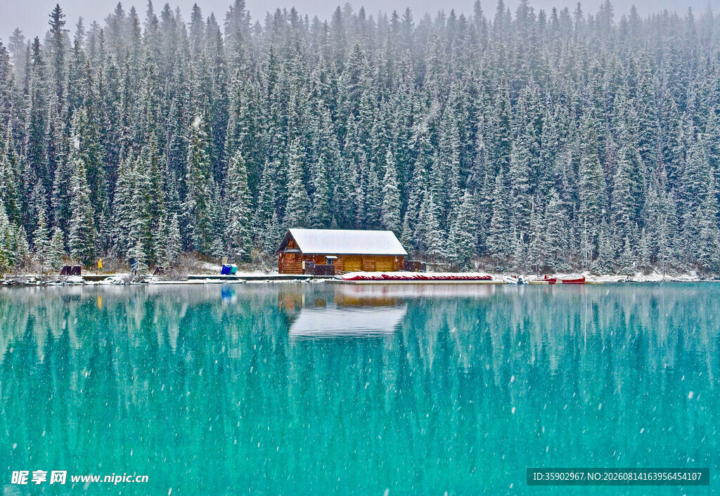 湖畔雪林小屋静谧美景