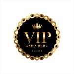 黑金 VIP 徽章