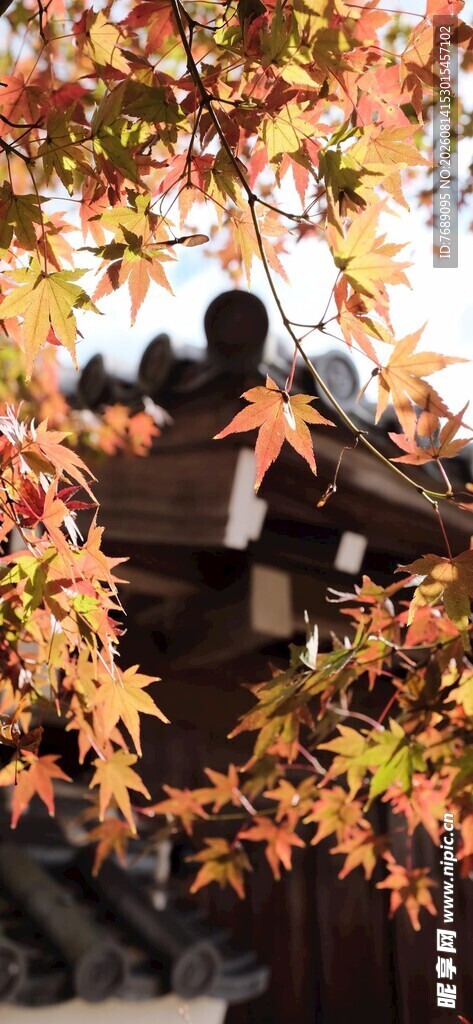 秋日屋檐