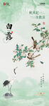 白露节气海报