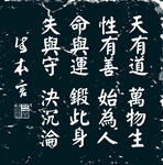 楷书 生本言 仿书法拓片设计