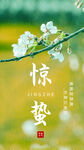 惊蛰节气海报素材