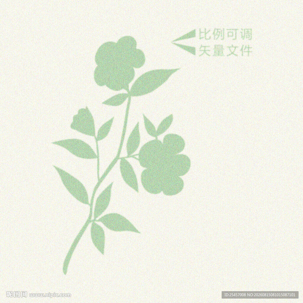 花卉插画