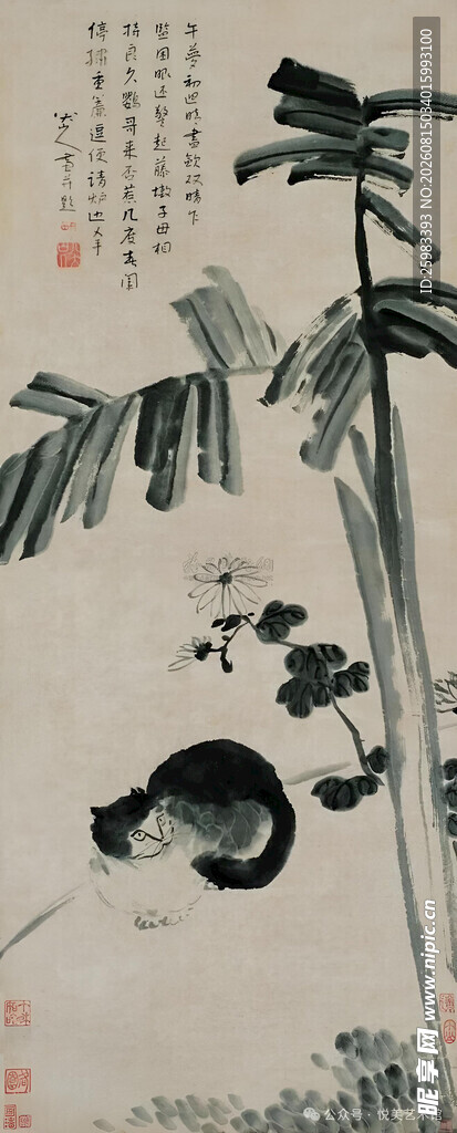 芭蕉猫戏图