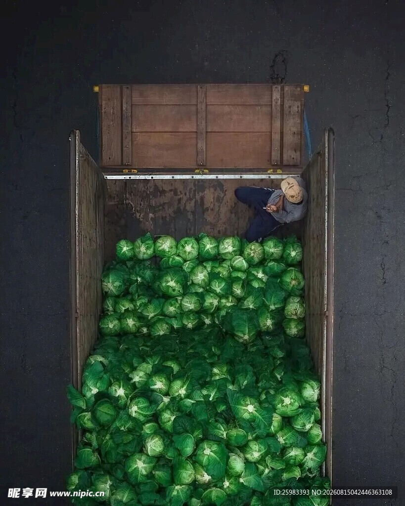 白菜贩卖
