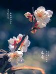 立春海报