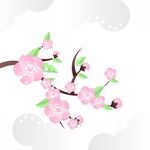 粉色梅花插画