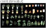 多样植物图标素材集合