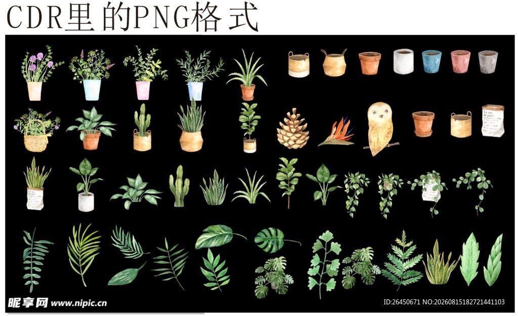多样植物图标素材集合