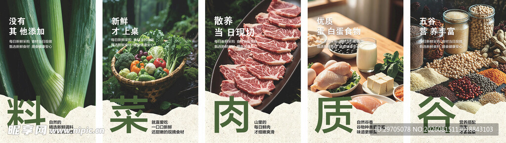 多样食材展示