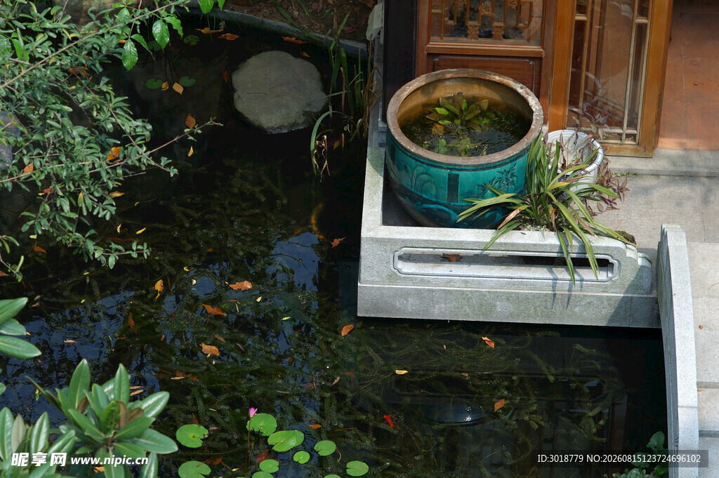 中式庭院中的雅致水景