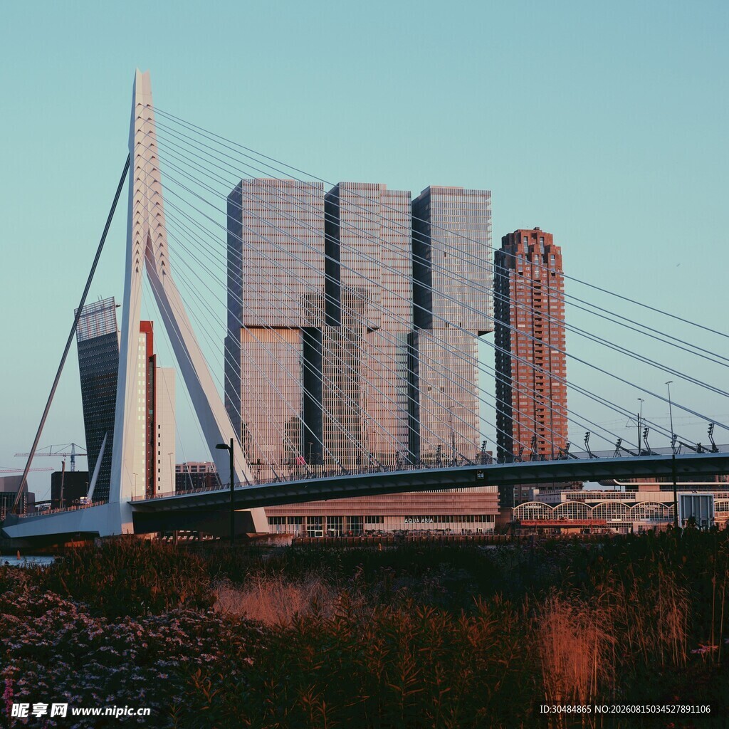 现代桥梁与高楼城市景观