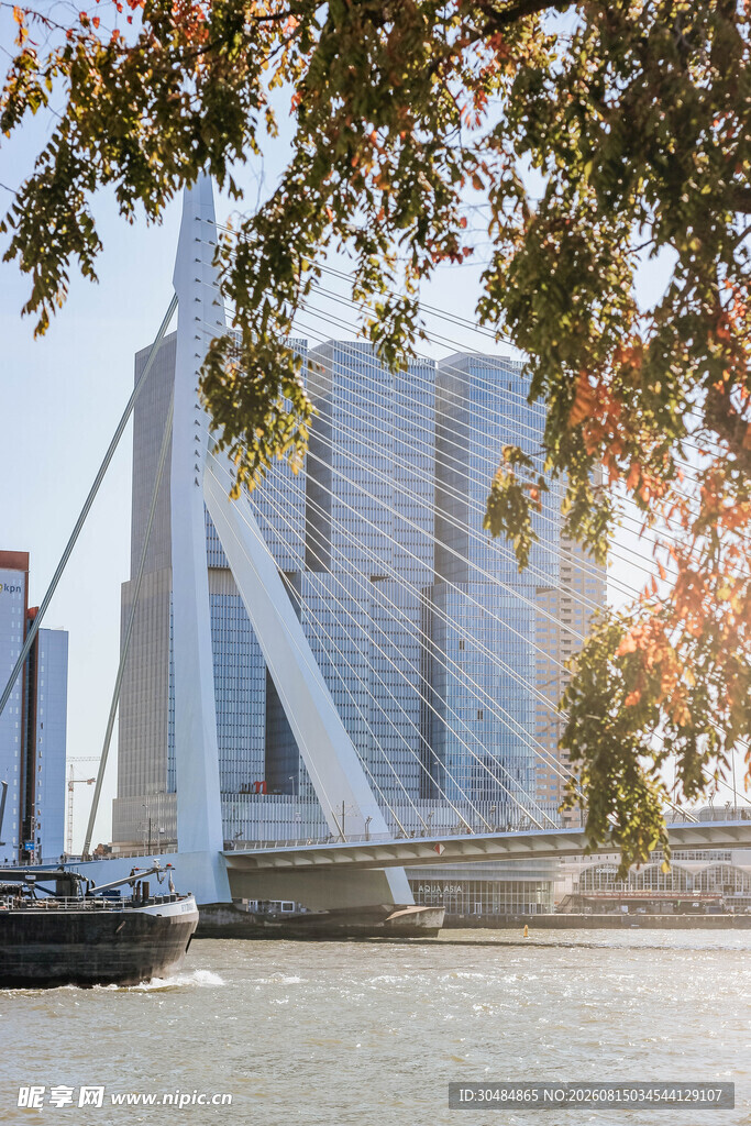 河畔现代桥梁与船只风景