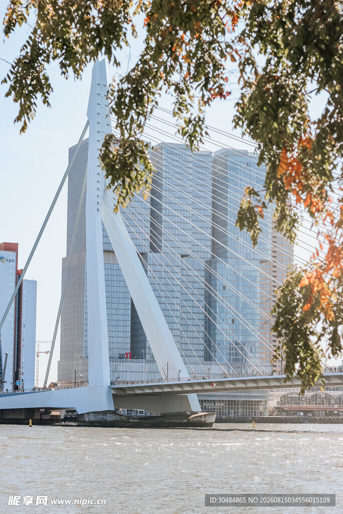 现代风格桥梁与周边景致